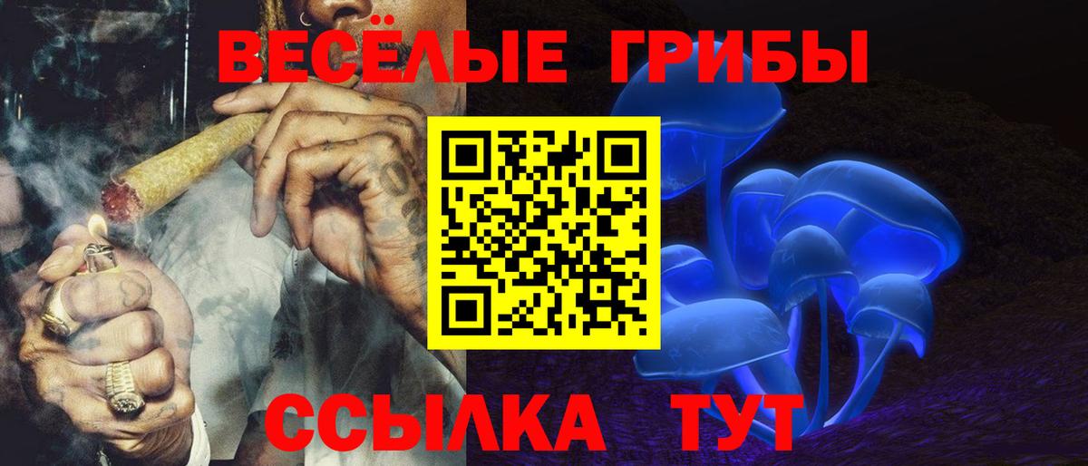 Галлюциногенные грибы Psilocybe Клин